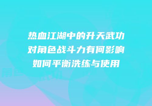 热血江湖中的升天武功对角色战斗力有何影响如何平衡洗练与使用