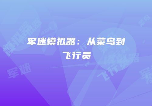 军迷模拟器：从菜鸟到飞行员