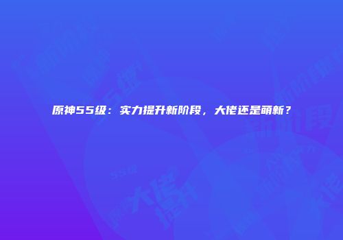 原神55级：实力提升新阶段，大佬还是萌新？