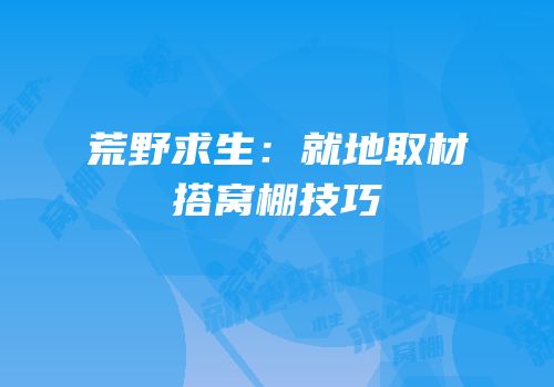 荒野求生：就地取材搭窝棚技巧