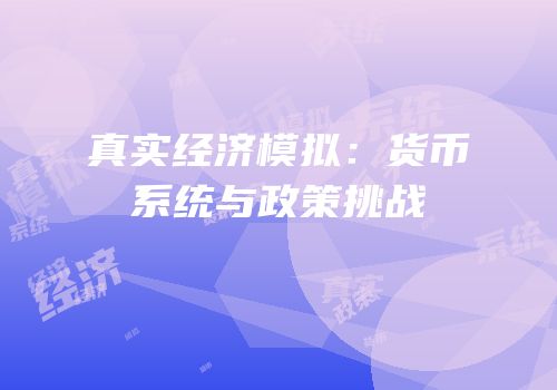 真实经济模拟：货币系统与政策挑战