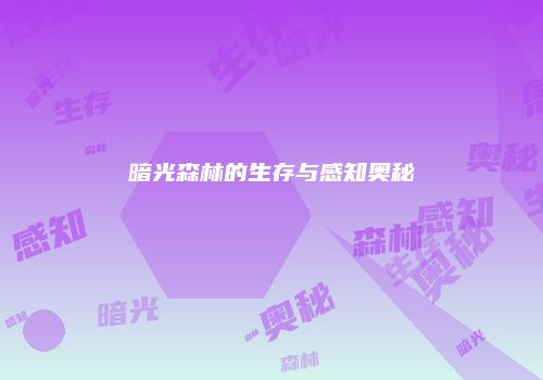 暗光森林的生存与感知奥秘