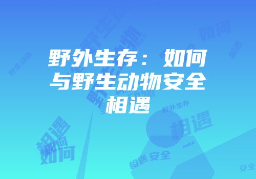 野外生存：如何与野生动物安全相遇
