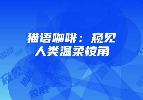 猫语咖啡：窥见人类温柔棱角