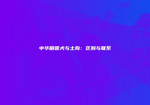 中华田园犬与土狗：区别与联系
