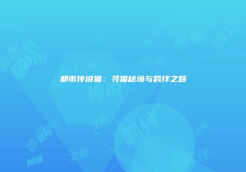 都市传说猫：寻猫秘境与羁绊之路