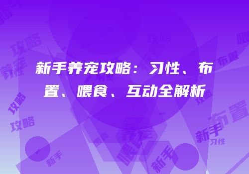 新手养宠攻略：习性、布置、喂食、互动全解析