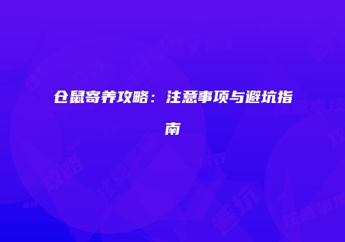 仓鼠寄养攻略：注意事项与避坑指南
