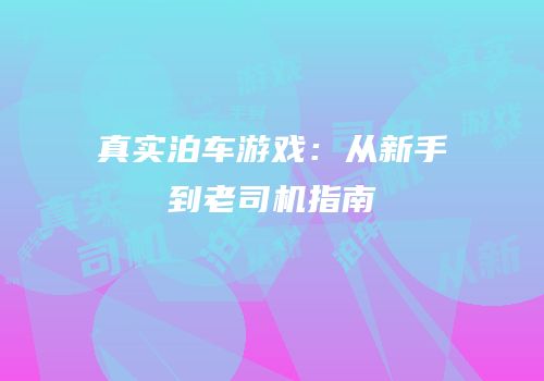 真实泊车游戏：从新手到老司机指南
