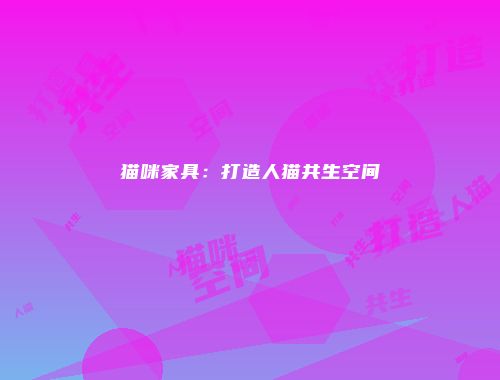 猫咪家具：打造人猫共生空间