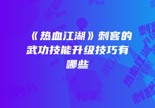 《热血江湖》刺客的武功技能升级技巧有哪些