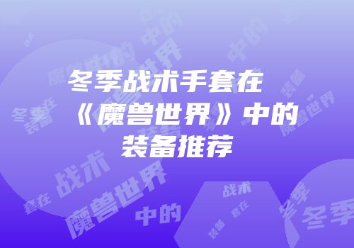 冬季战术手套在《魔兽世界》中的装备推荐