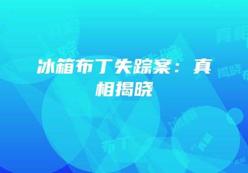 冰箱布丁失踪案：真相揭晓