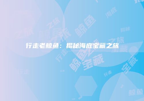 行走老鲸鱼：揭秘海底宝藏之旅
