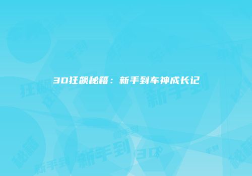 3D狂飙秘籍：新手到车神成长记