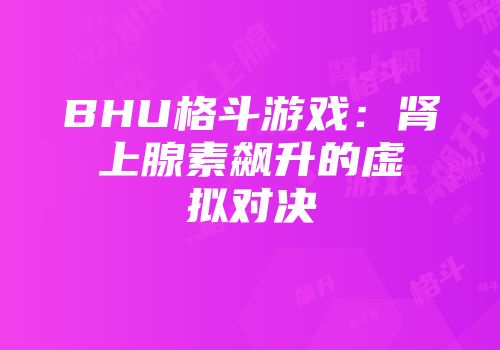 BHU格斗游戏：肾上腺素飙升的虚拟对决