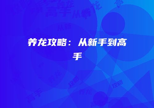 养龙攻略：从新手到高手