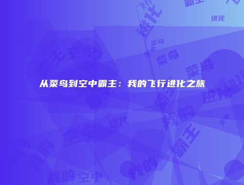 从菜鸟到空中霸主：我的飞行进化之旅