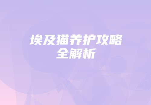 埃及猫养护攻略全解析