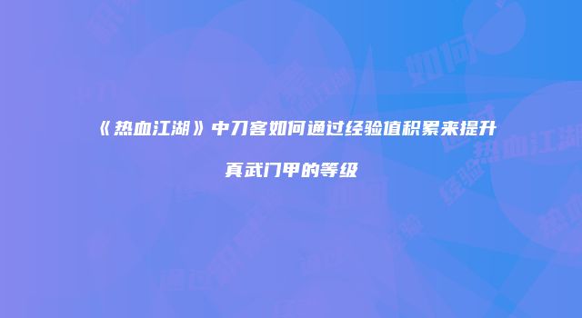 《热血江湖》中刀客如何通过经验值积累来提升真武门甲的等级