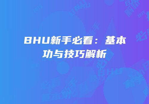 BHU新手必看：基本功与技巧解析