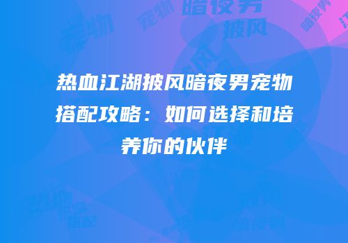 热血江湖披风暗夜男宠物搭配攻略:如何选择和培养你的伙伴