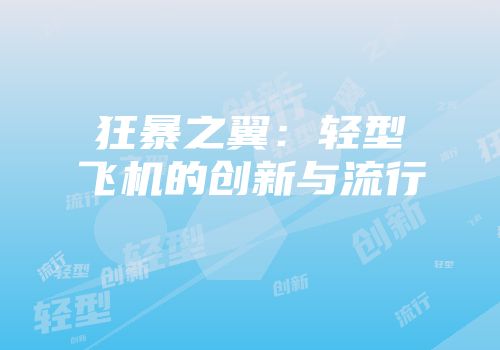 狂暴之翼：轻型飞机的创新与流行