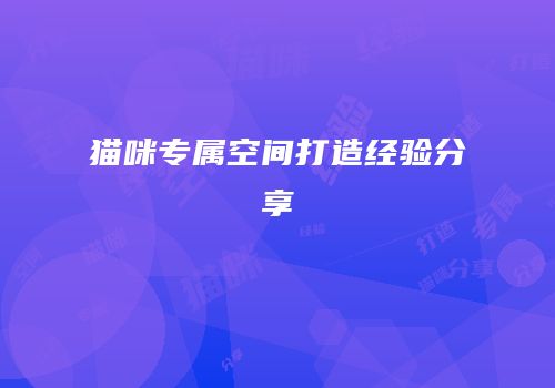 猫咪专属空间打造经验分享