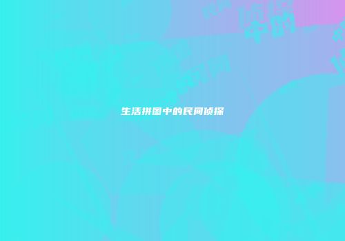 生活拼图中的民间侦探