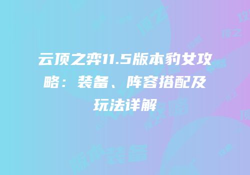 云顶之弈11.5版本豹女攻略：装备、阵容搭配及玩法详解