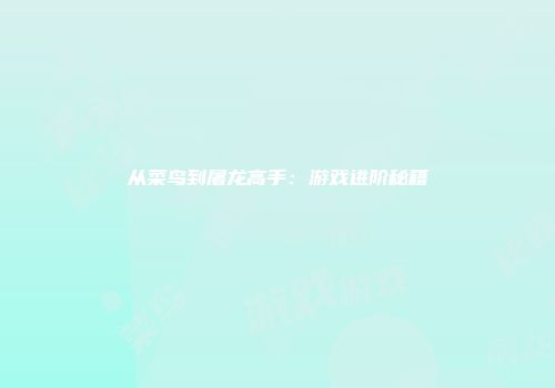 从菜鸟到屠龙高手：游戏进阶秘籍