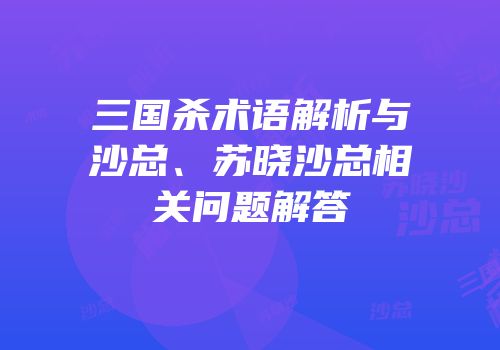 三国杀术语解析与沙总、苏晓沙总相关问题解答