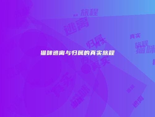 予梦简品游戏网