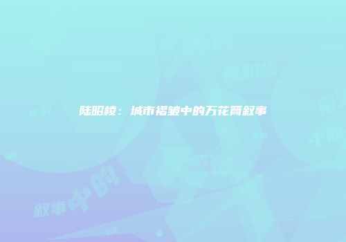 陆昭棱：城市褶皱中的万花筒叙事