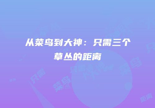 从菜鸟到大神：只需三个草丛的距离