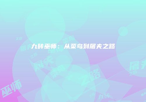 九砖巫师：从菜鸟到屠夫之路