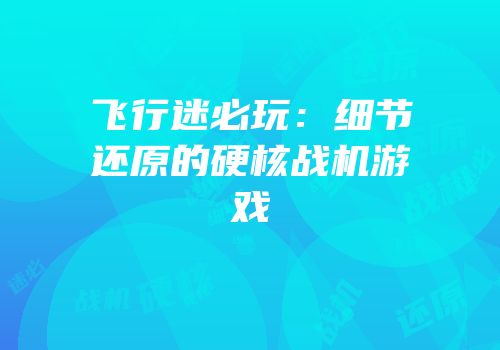 飞行迷必玩：细节还原的硬核战机游戏