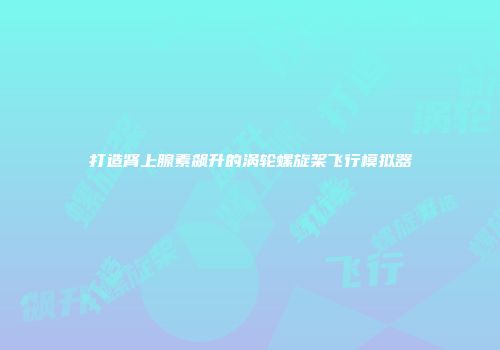 打造肾上腺素飙升的涡轮螺旋桨飞行模拟器