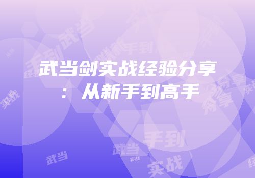 武当剑实战经验分享：从新手到高手