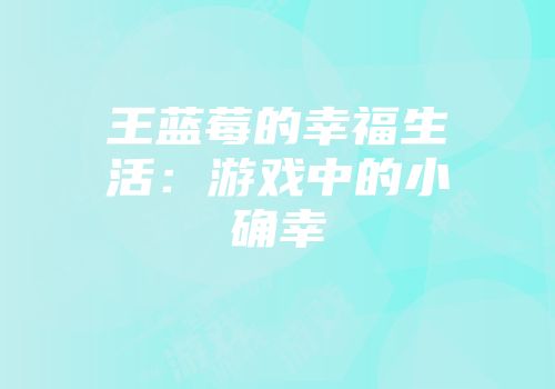 王蓝莓的幸福生活：游戏中的小确幸