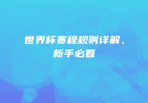世界杯赛程规则详解，新手必看