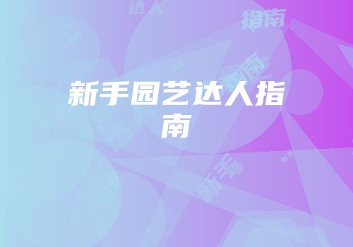 新手园艺达人指南