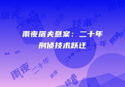 雨夜屠夫悬案：二十年刑侦技术跃迁