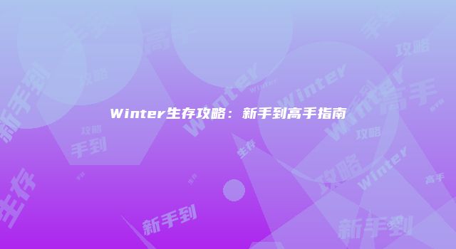 Winter生存攻略：新手到高手指南