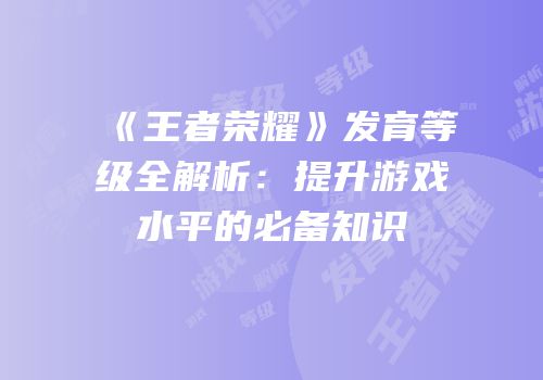 《王者荣耀》发育等级全解析：提升游戏水平的必备知识