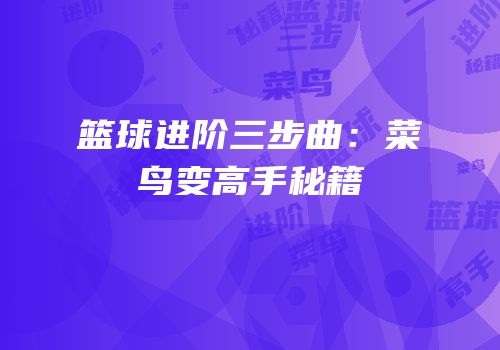 篮球进阶三步曲：菜鸟变高手秘籍