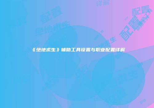 《绝地求生》辅助工具设置与职业配置详解