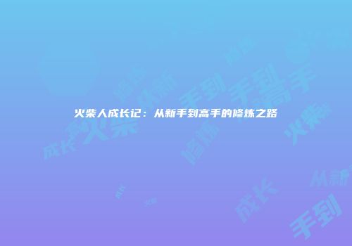 火柴人成长记：从新手到高手的修炼之路