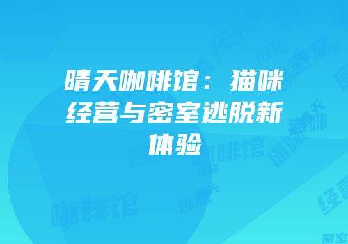 晴天咖啡馆：猫咪经营与密室逃脱新体验