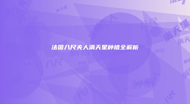 法国八尺夫人满天星种植全解析